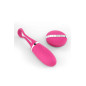 Oeuf vibrant télécommandé Secret Delight